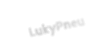 LukyPneu